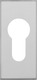Escutcheon plate RS306 F1